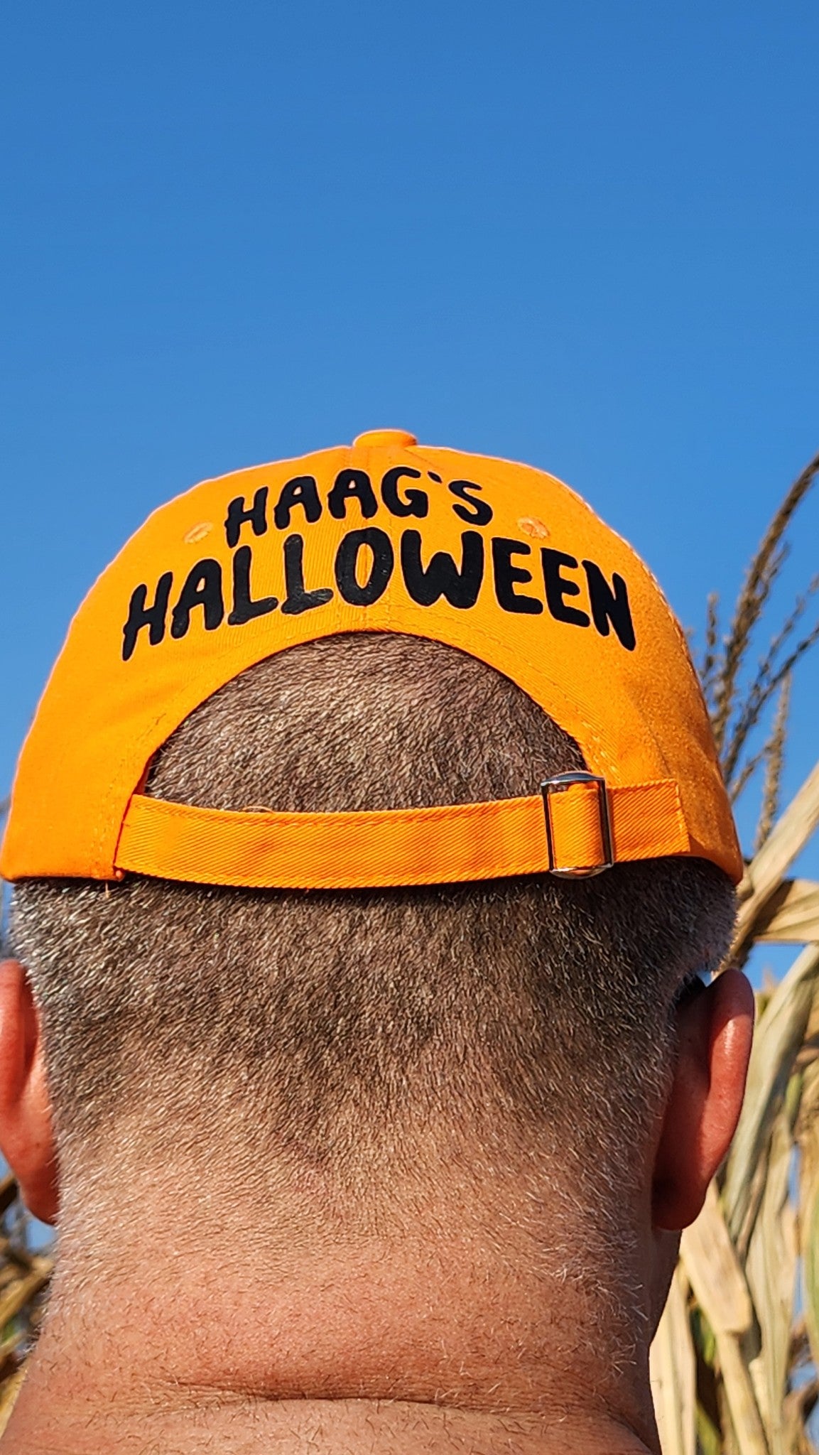 Haag’s Halloween Hat